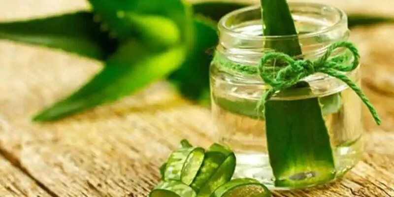Thành Phần Nổi Bật